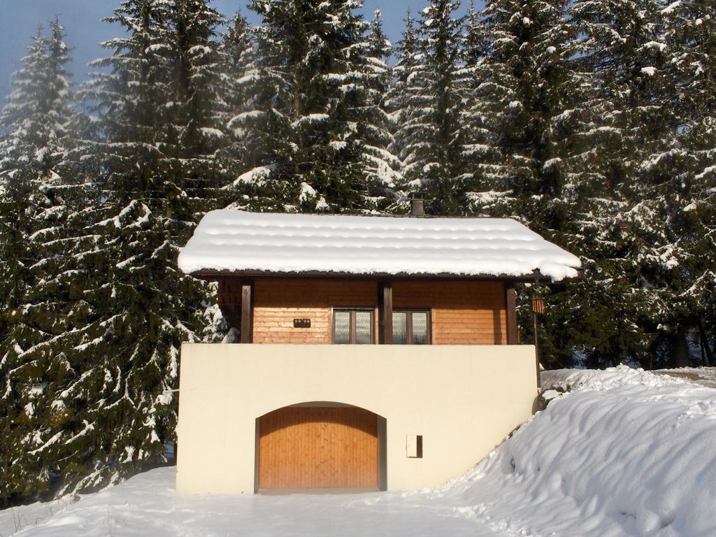 Magnificent Chalet On The Mountain Slopes Les Gets Ngoại thất bức ảnh